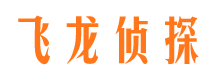 樊城侦探公司